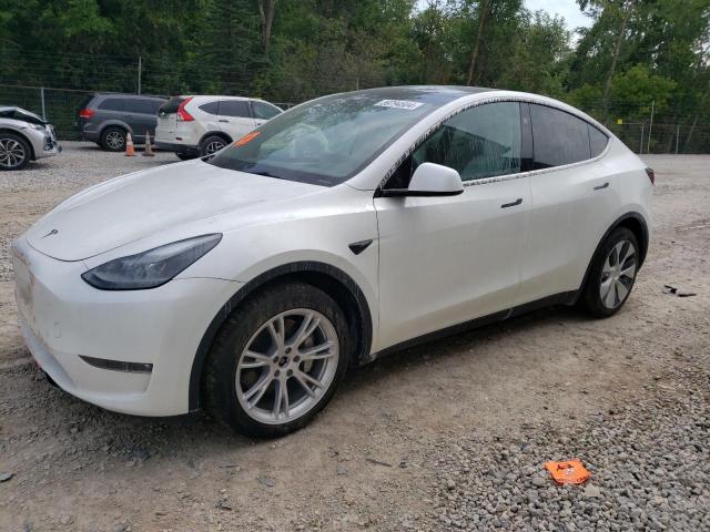  Salvage Tesla Model Y