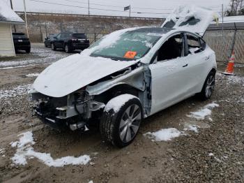  Salvage Tesla Model Y