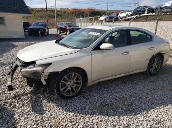  Salvage Nissan Maxima