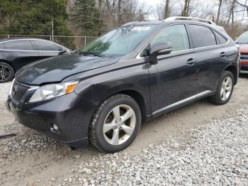  Salvage Lexus RX