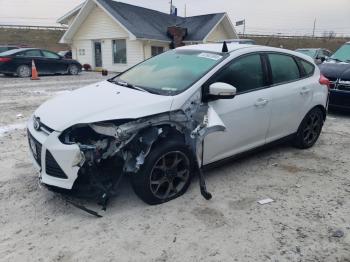  Salvage Ford Focus