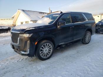  Salvage Cadillac Escalade