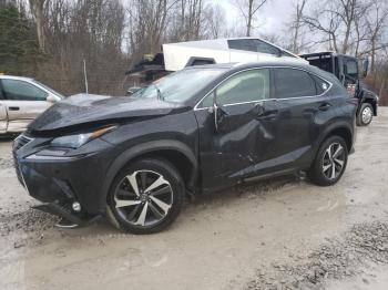  Salvage Lexus NX