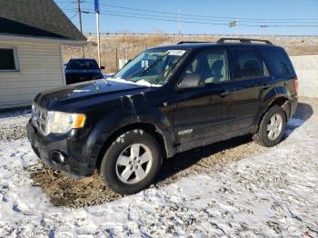  Salvage Ford Escape