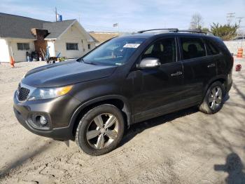  Salvage Kia Sorento