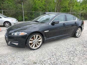  Salvage Jaguar XF