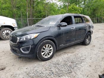  Salvage Kia Sorento