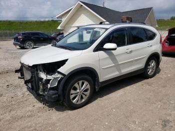  Salvage Honda Crv