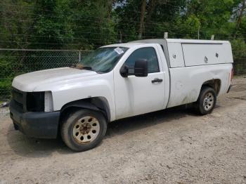  Salvage Chevrolet Silverado