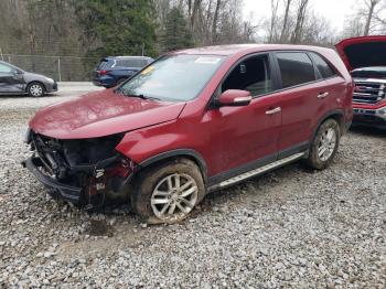  Salvage Kia Sorento