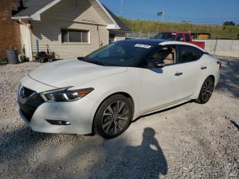  Salvage Nissan Maxima