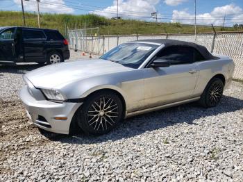  Salvage Ford Mustang