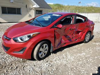  Salvage Hyundai ELANTRA