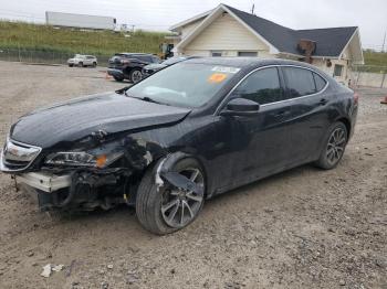  Salvage Acura TLX