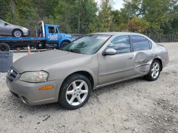  Salvage Nissan Maxima