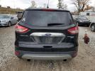 Ford Escape Titanium Image 9