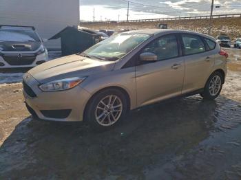  Salvage Ford Focus