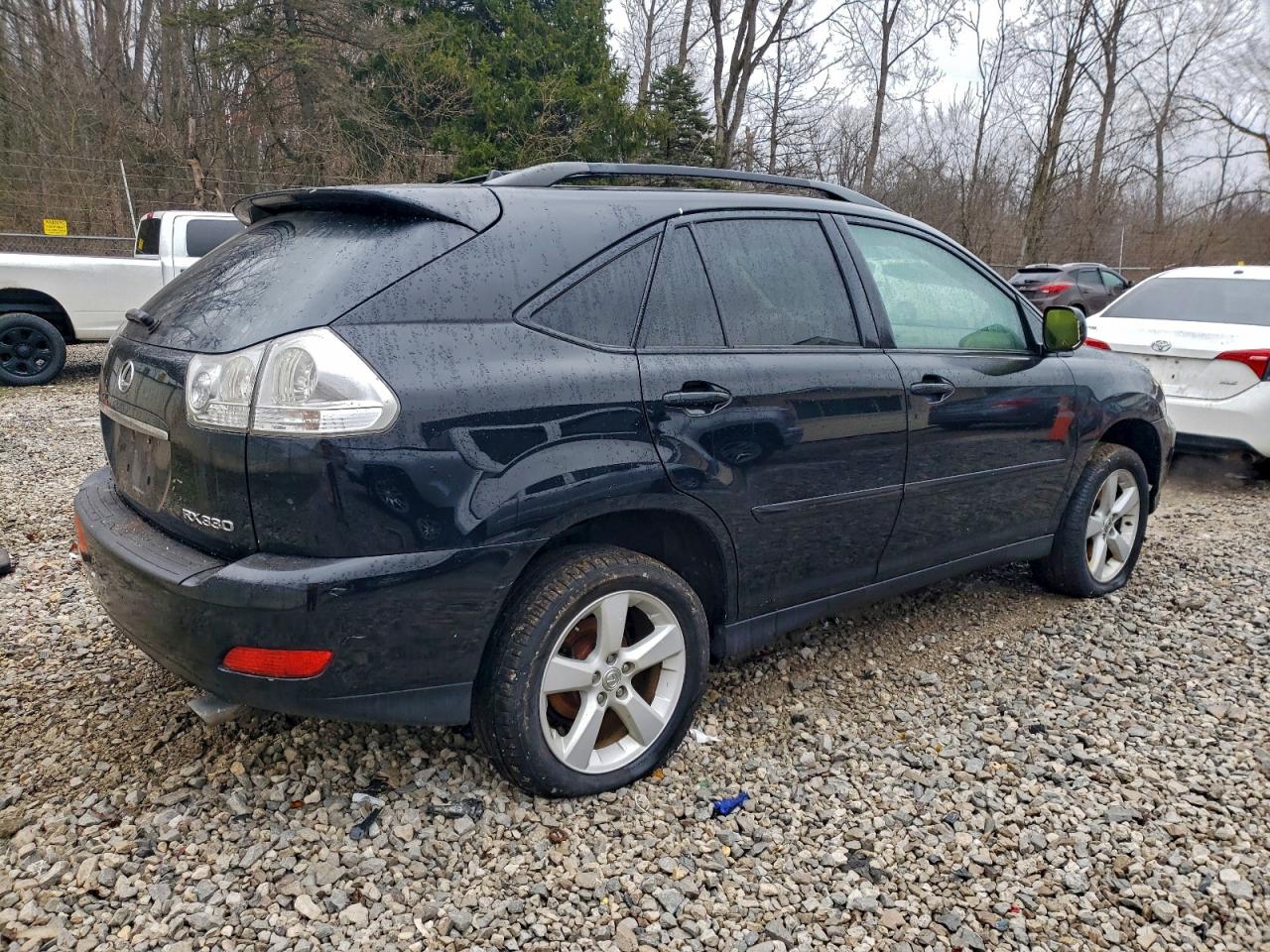 Lexus RX 330 Image 12