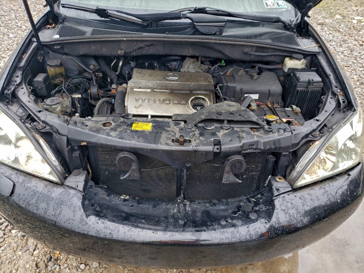 Lexus RX 330 Image 2