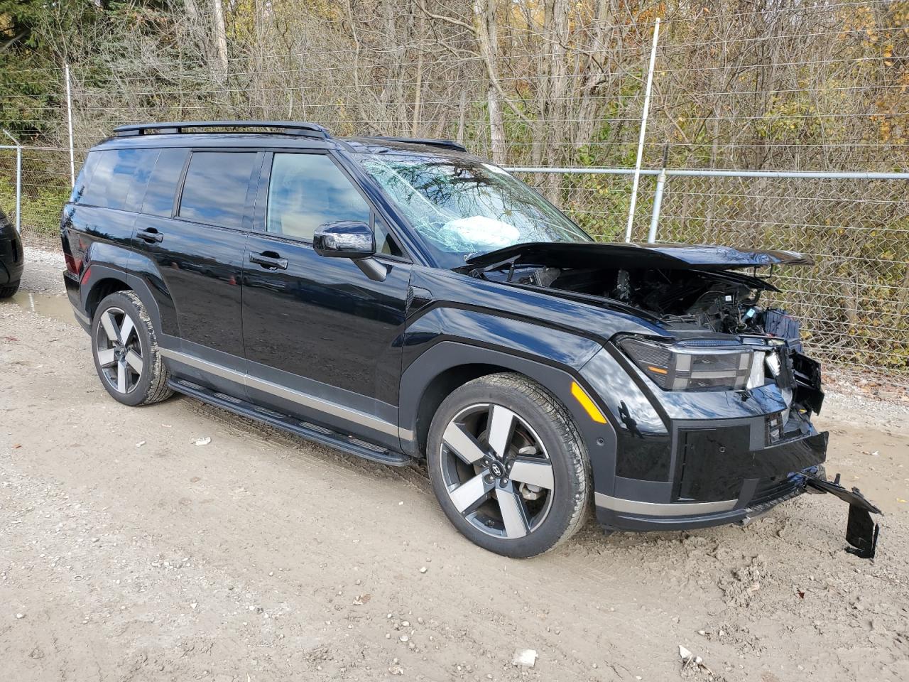 Hyundai SANTA FE Limited Image 6