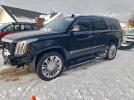 Cadillac Escalade Platinum Image 1