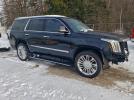 Cadillac Escalade Platinum Image 8