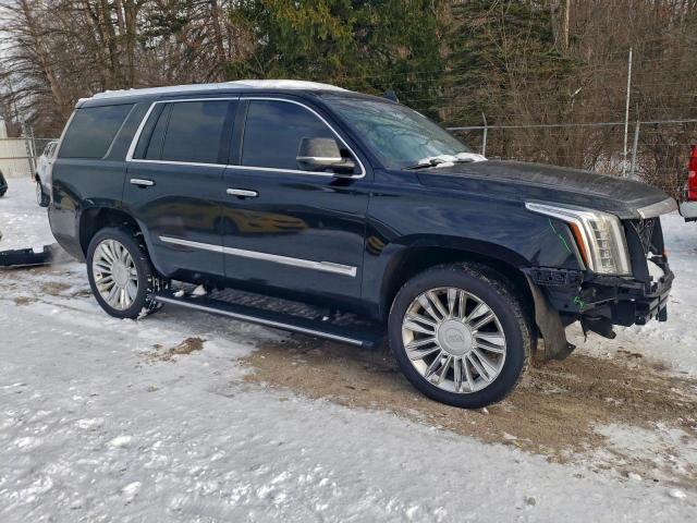 Cadillac Escalade Platinum Image 8