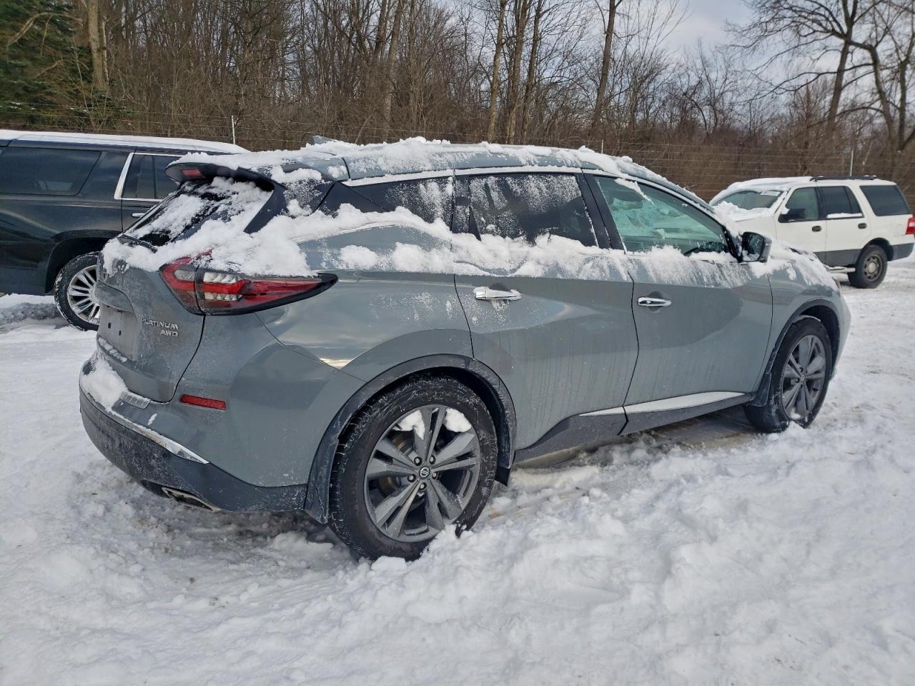 Nissan Murano Platinum Image 4