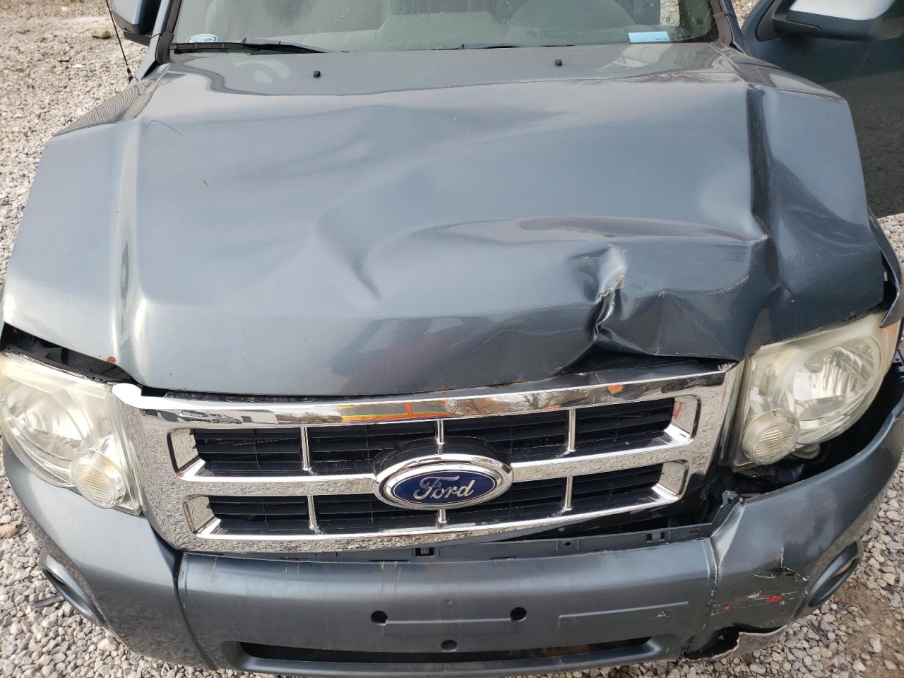 Ford Escape Limited Image 8