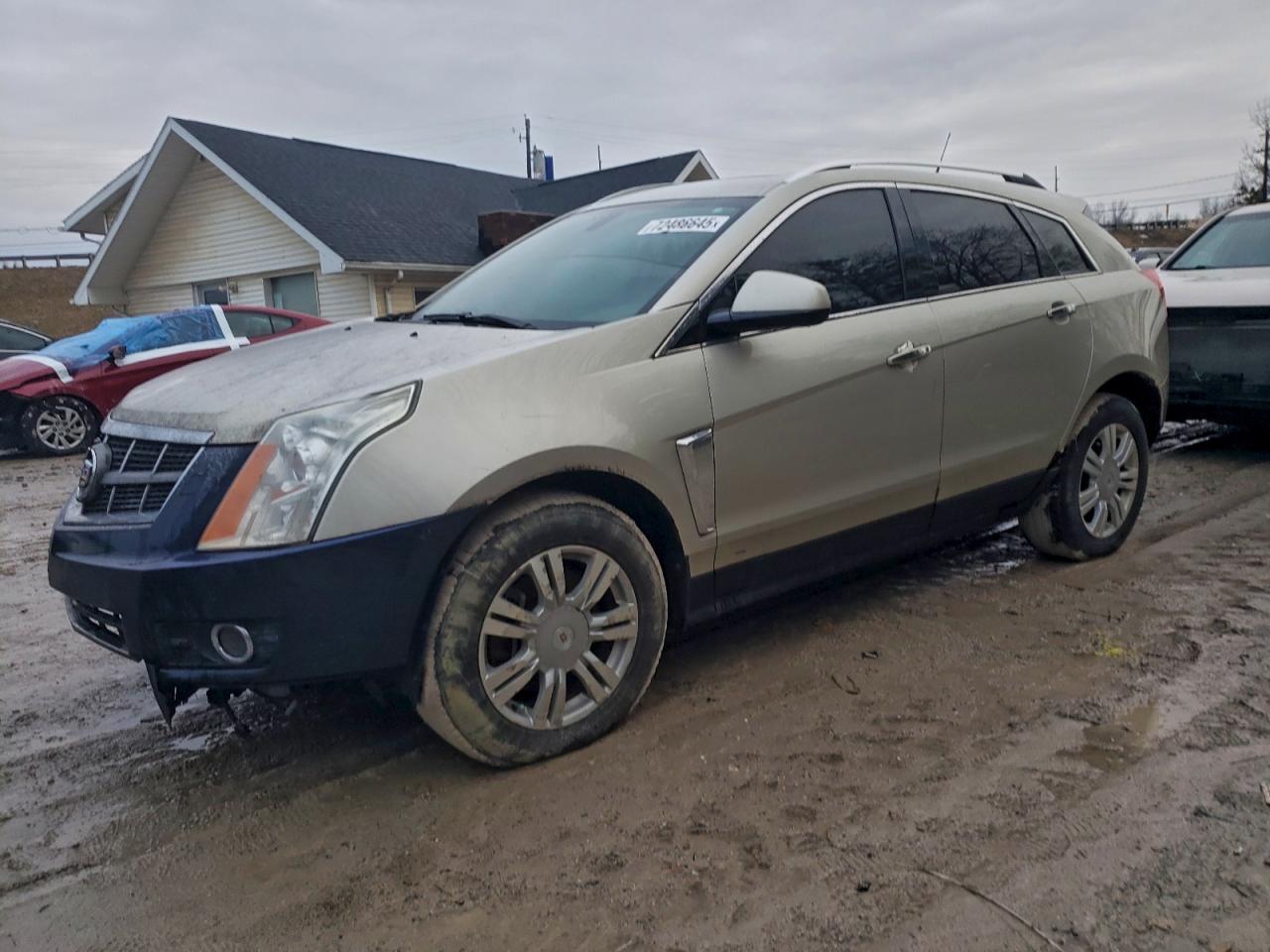 Cadillac SRX Luxury Collection Image 1